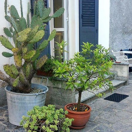 All'Ombra Dei Tassi Мандельо дел Ларио Екстериор снимка